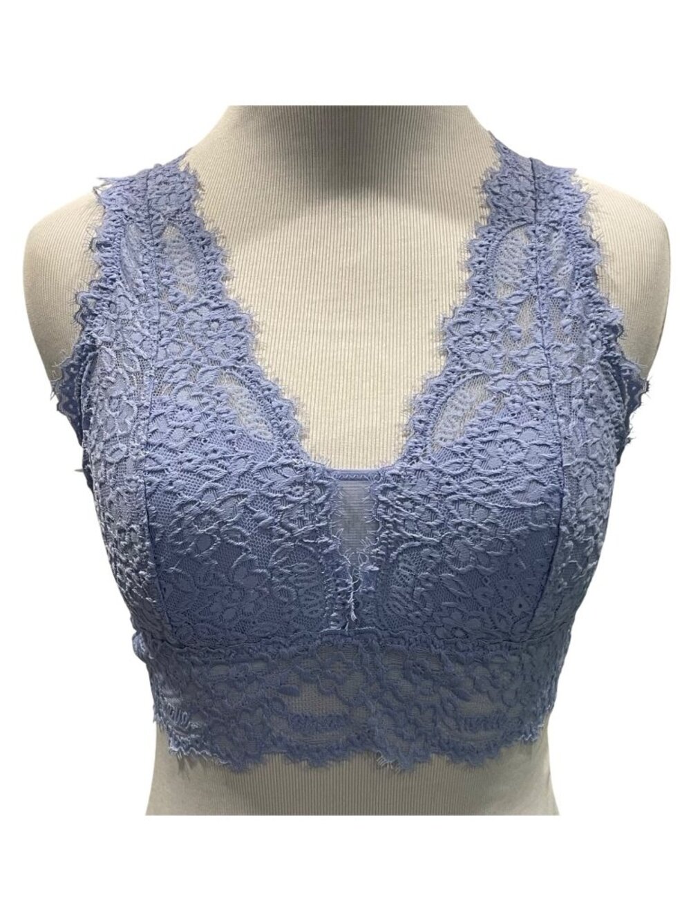 Aerie Embroidered Lace Bralette M Light Blue Sheer Coquette Sexy Fairy Romantic